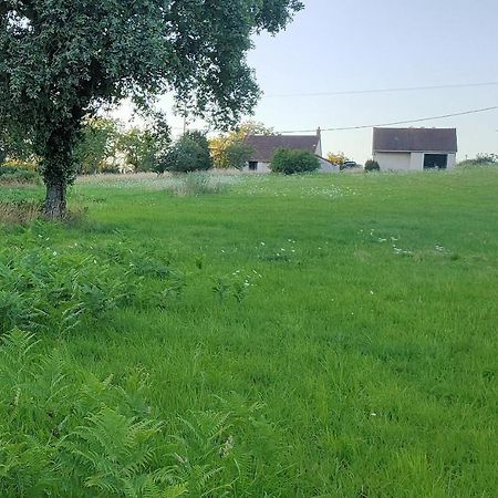 Le Champ Des Fougeres Villa Vicq-Exemplet Kültér fotó